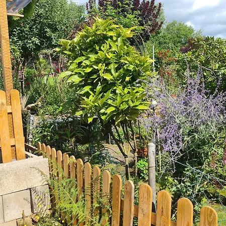 Haides Helle نيكارشتايناخ