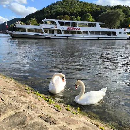 Haides Helle Appartement *