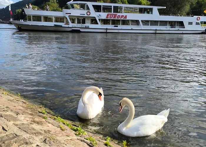 Haides Helle 아파트 *